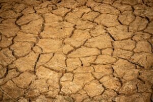 dry mexican landscape
