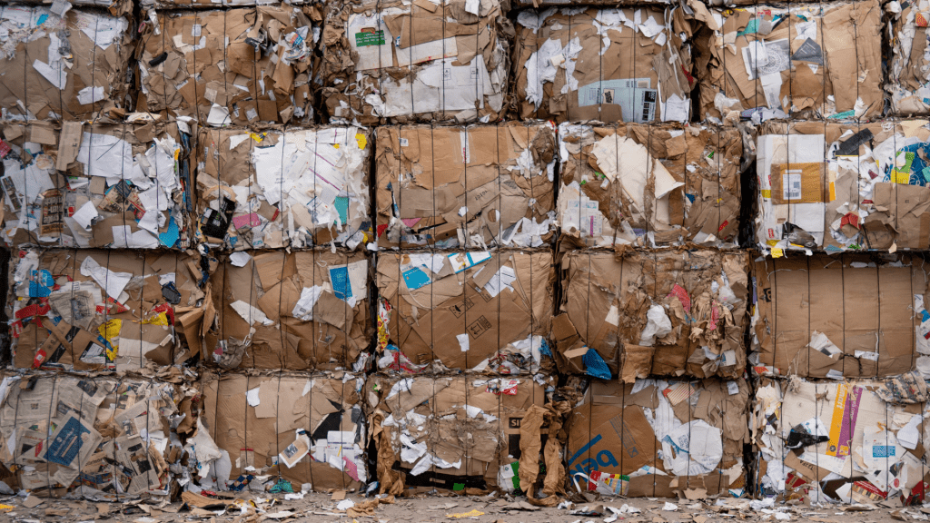 Traditional Waste Management